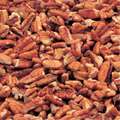 Azar Azar Fancy Large Piece Pecan 30lbs Bag, PK2 9501252